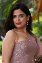 Ayesha Singh at Yedu Chepala Katha Movie Prees Meet